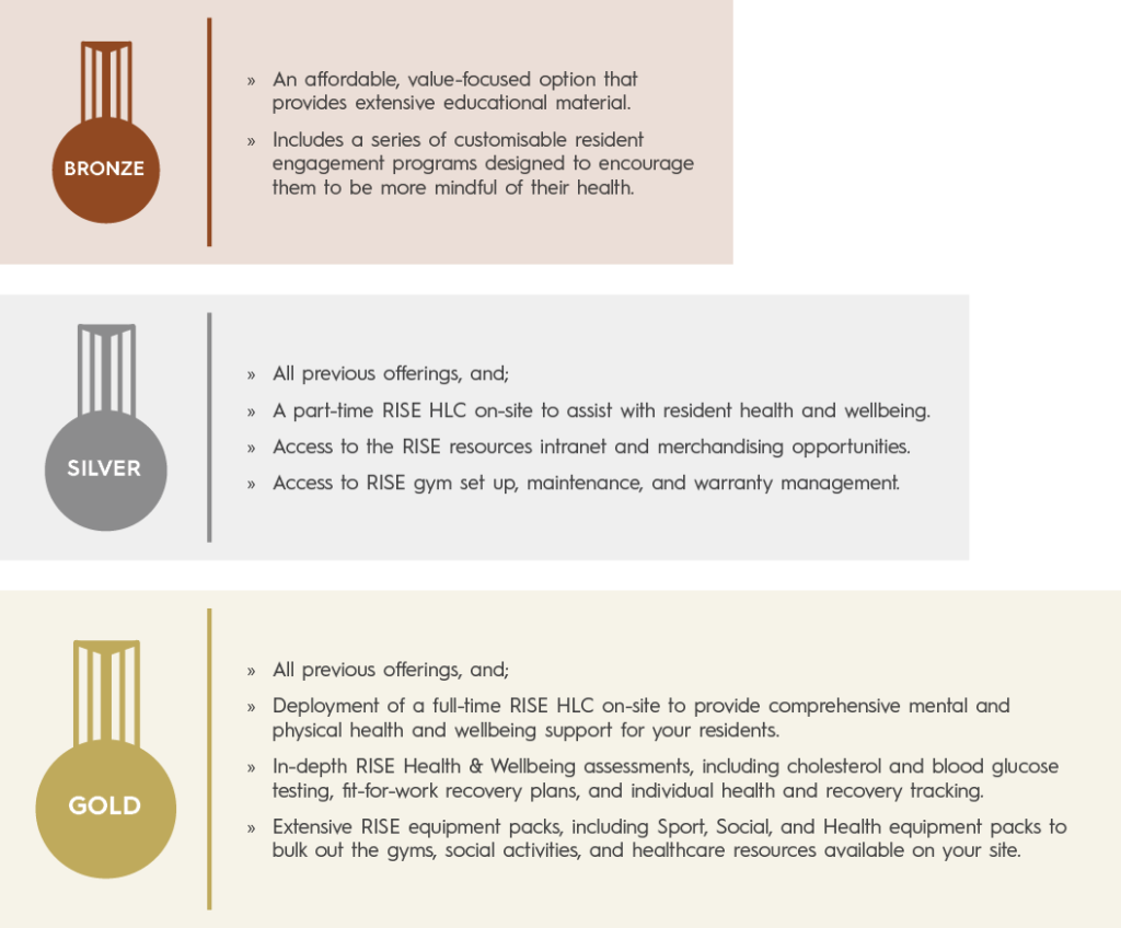 RISE Healthy Lifestyle Program in three tiers
