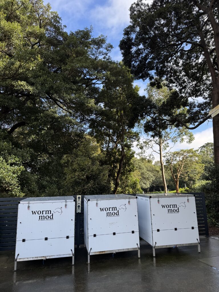 Vermicomposting worm pods onsite. 